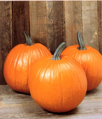 Picture of Pumpkin Magic Lantern F1